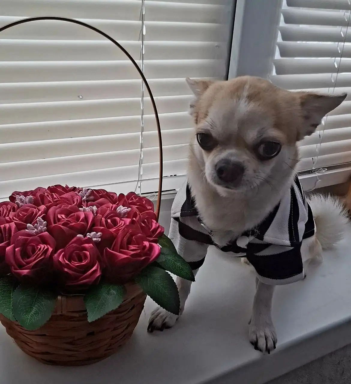 Букеты из атласной ленты на заказ - Рукоделие (Хобби и отдых) в Волгоград