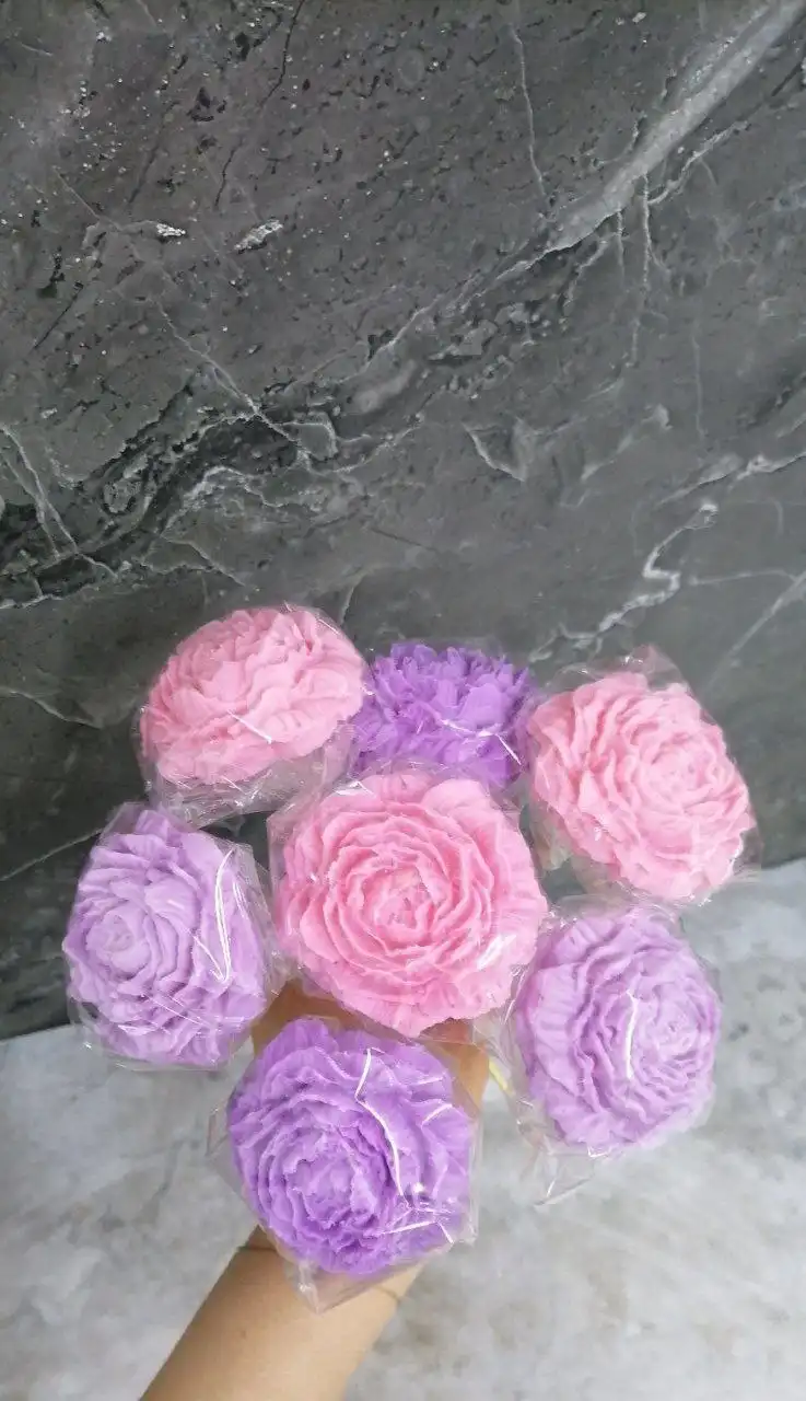 Шоколадные пионы - Растения (Барахолка) в Волгоград