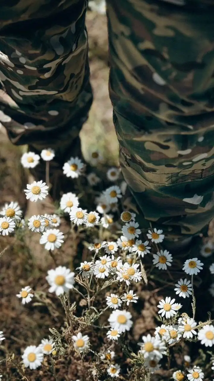 Персональные песни к 23 февраля - Творческие услуги (Услуги) в Волгоград