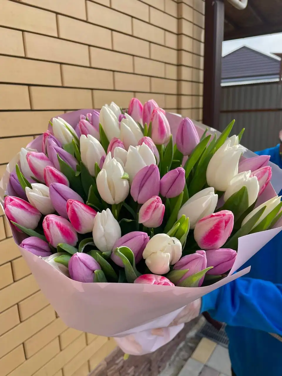 Букеты тюльпанов на 8 марта - Цветы (Хобби и отдых) в Волгоград