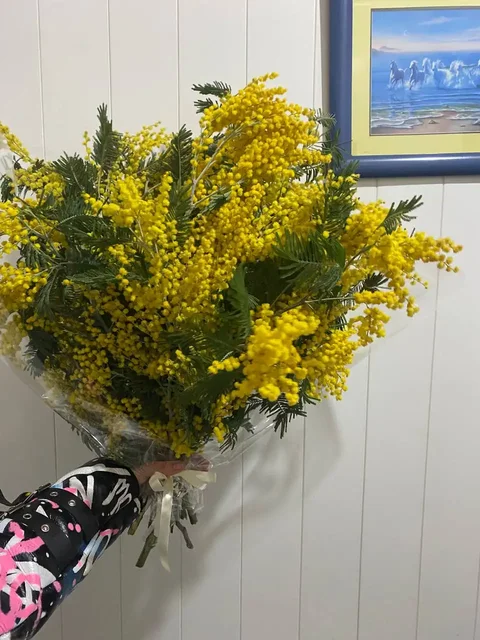 Продажа букетов мимозы - Аренда недвижимости для отдыха в Волгоград