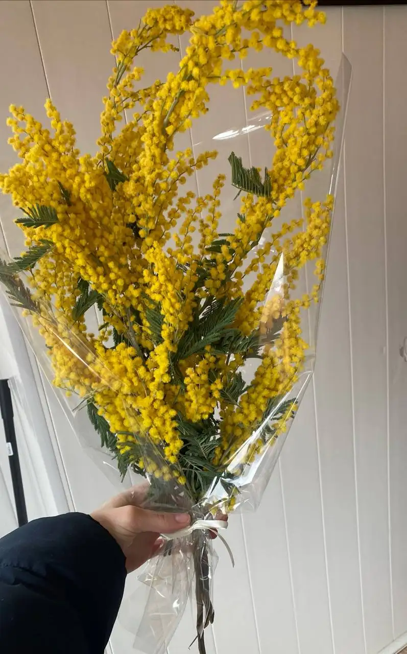 Продажа букетов мимозы - Цветы (Хобби и отдых) в Волгоград