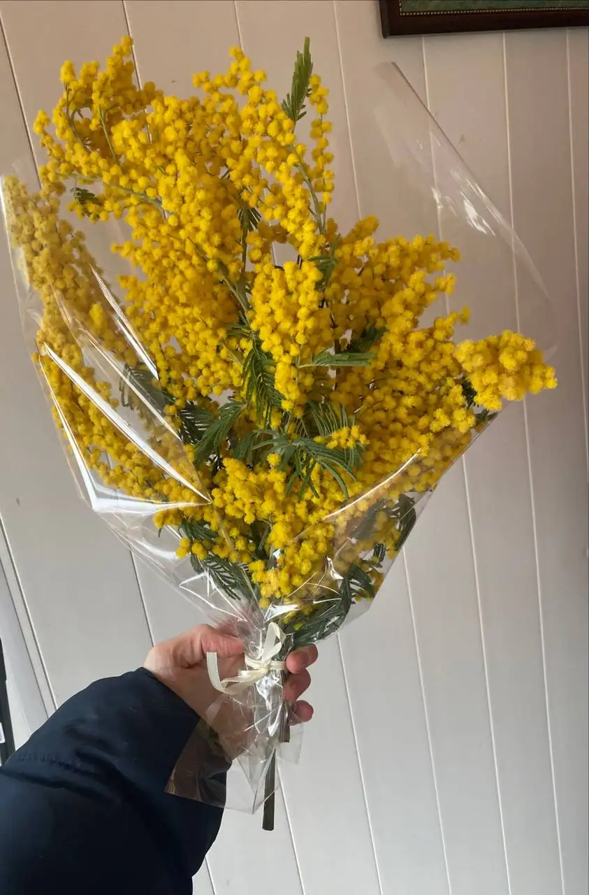 Продажа букетов мимозы - Цветы (Хобби и отдых) в Волгоград