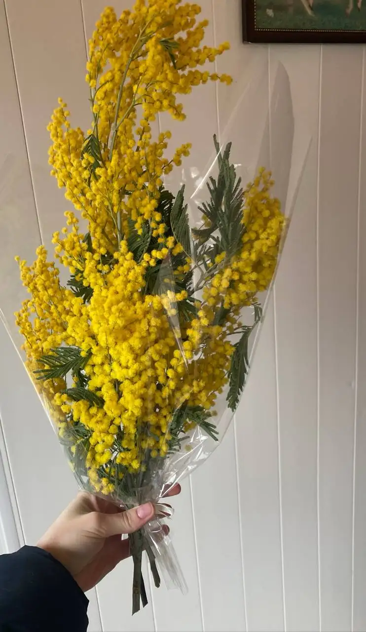 Продажа букетов мимозы - Цветы (Хобби и отдых) в Волгоград