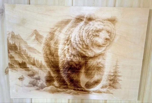 Выжженные картины и портреты по фотографиям - Рукоделие в Новоаннинский