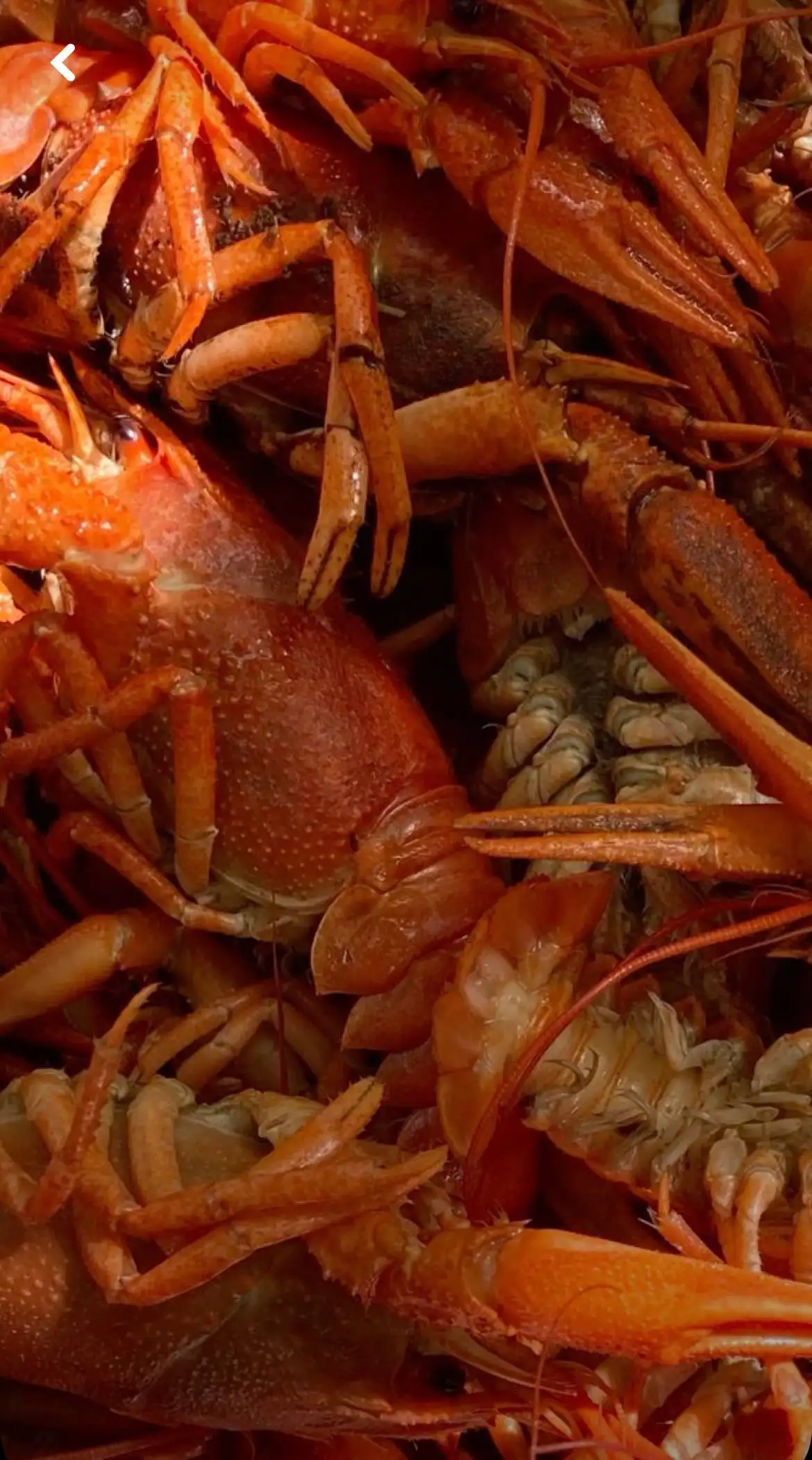 Продажа свежих раков с икрой - Рыбалка и охота (Хобби и отдых) в Волгоград