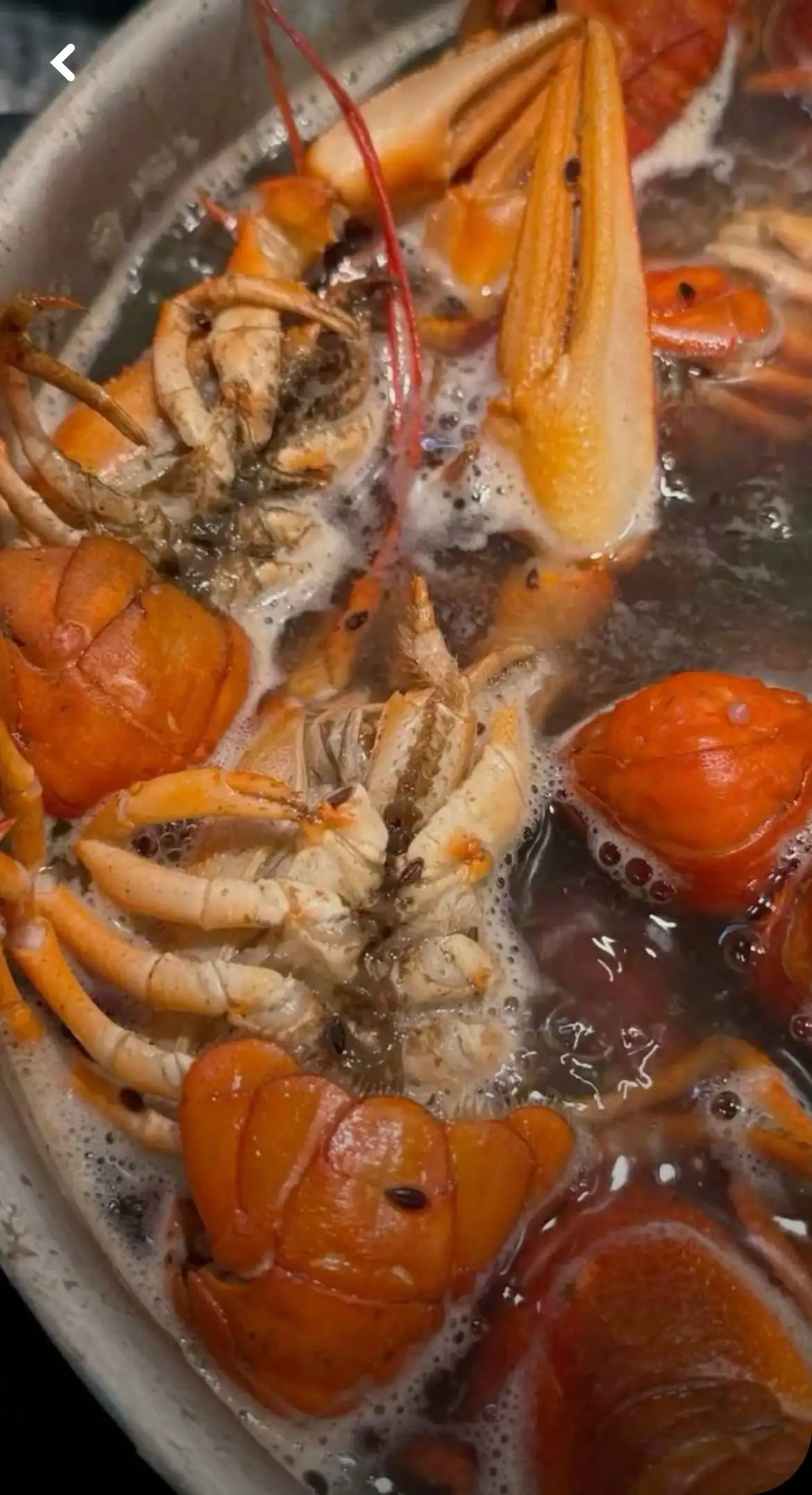 Продажа свежих раков с икрой - Рыбалка и охота (Хобби и отдых) в Волгоград