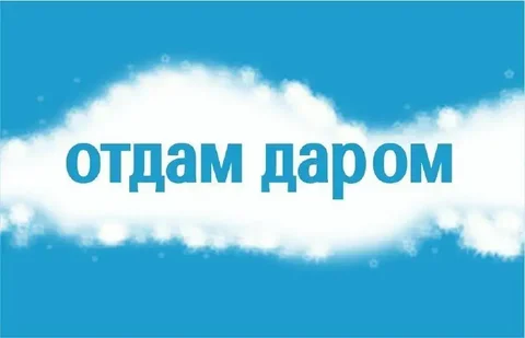 Отдам даром фарфоровую посуду, шуруповерт, дрель, телевизор и кухонную плитку - Фото в Волгоград