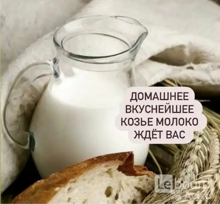 Продажа козьего молока, домашних яиц и мяса кролика - Продукты питания (Барахолка) в Волгоград