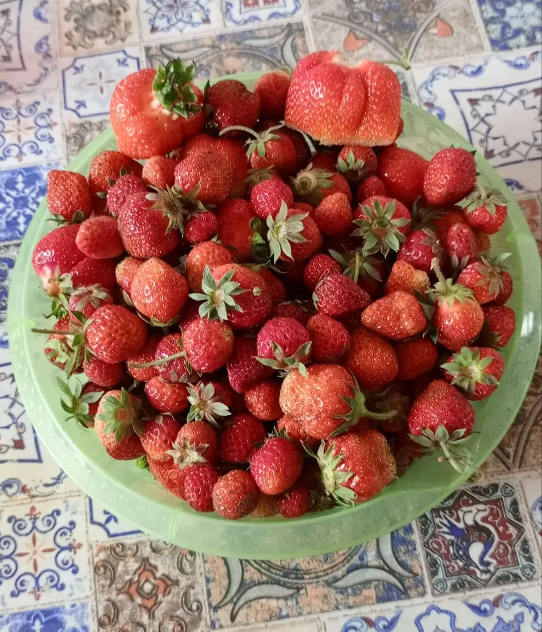 Продам клубнику - Запчасти в Оренбург