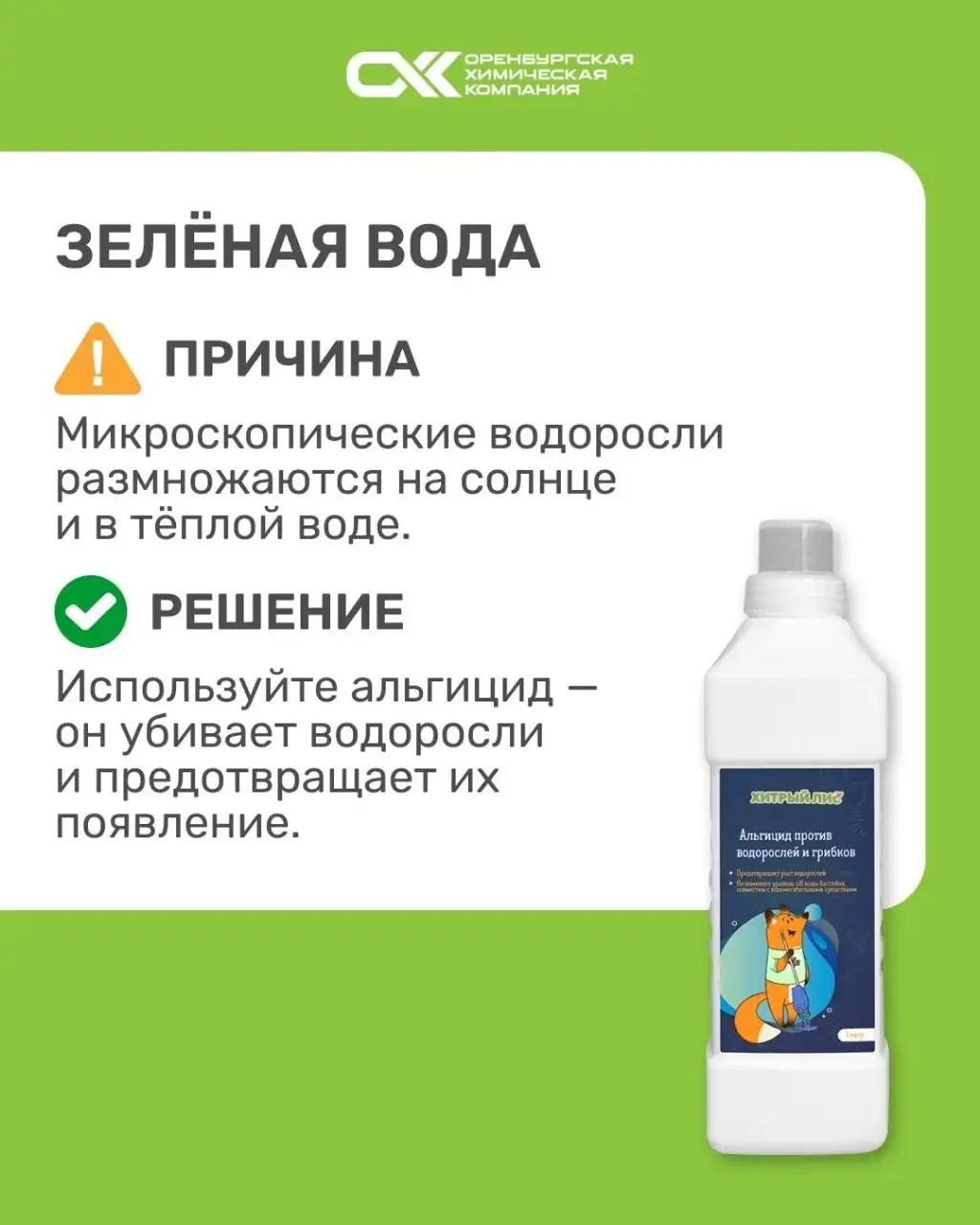 Советы по уходу за водой в бассейне - Услуги в Оренбург