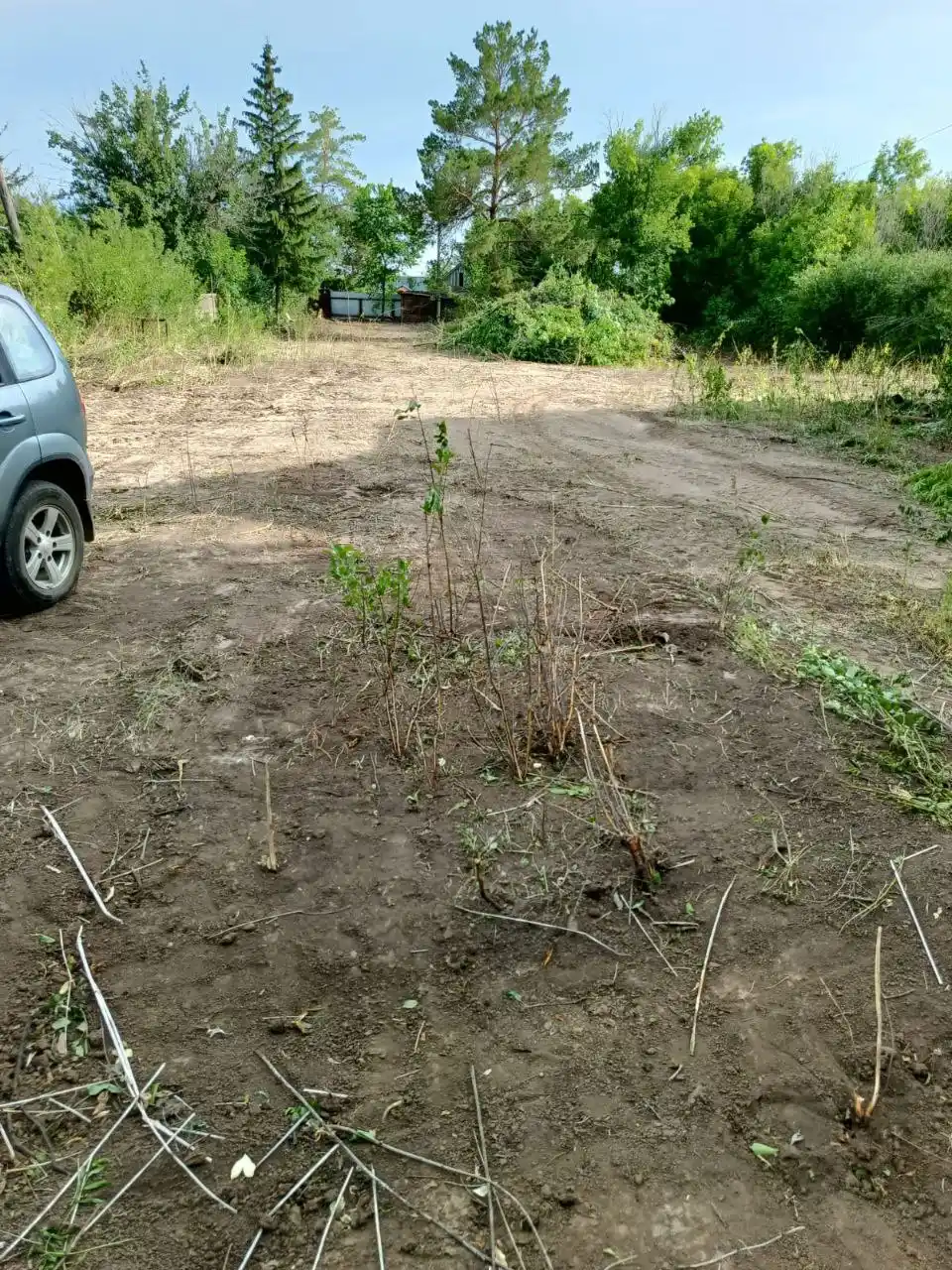 Продам дачный земельный участок в Протопоповской роще