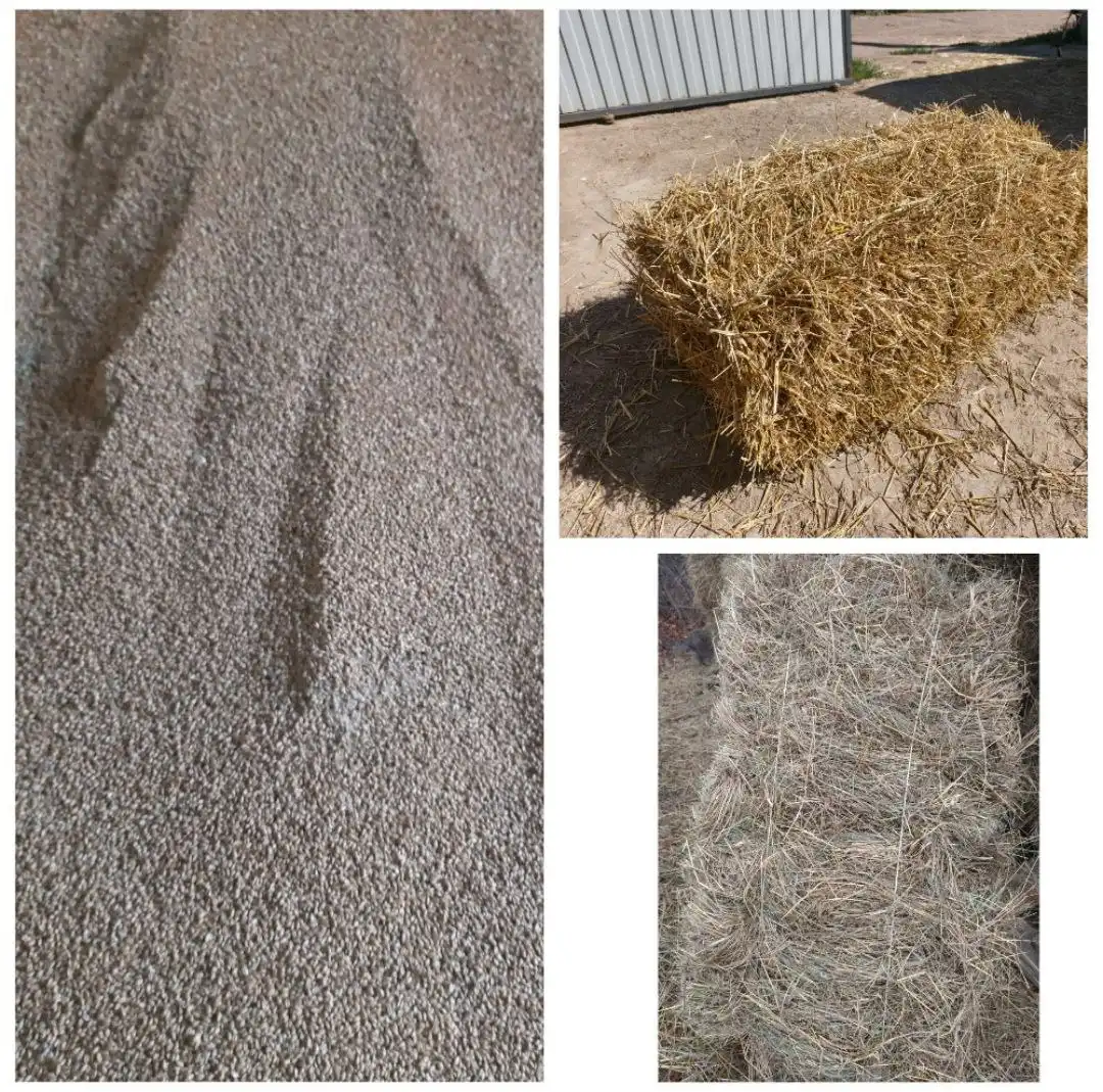 Продажа пшеницы, соломы и сена