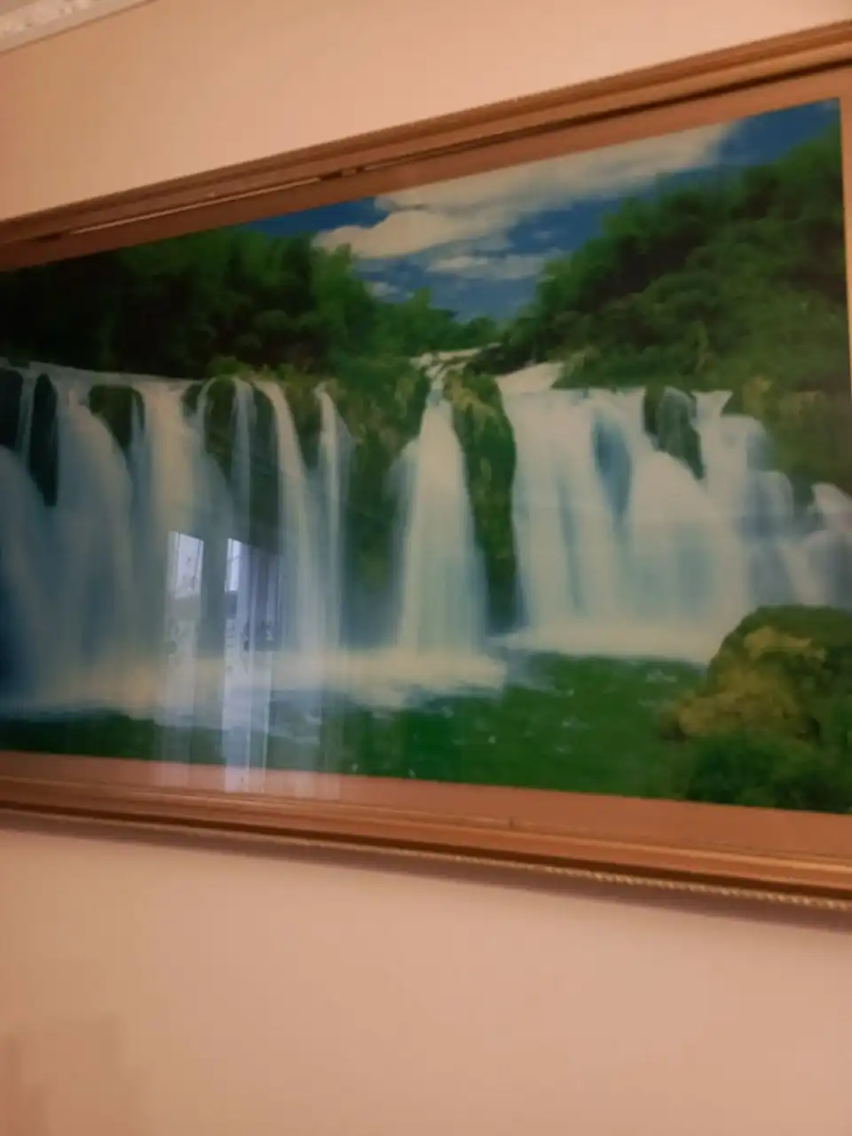 Продам кролика