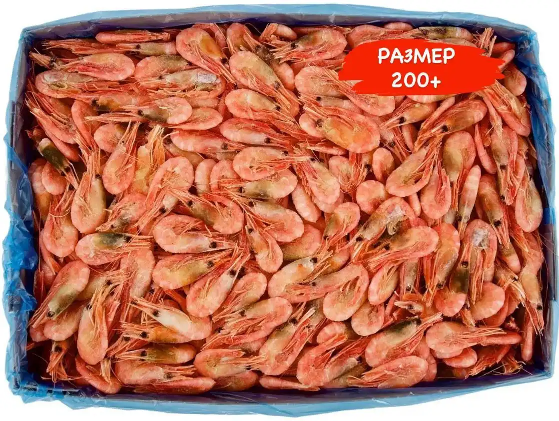 Продажа северной креветки 200+
