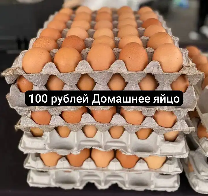 Продам домен chat.orenburg