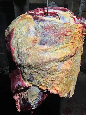 Продажа ребер говядины с краями - Для дома и дачи в Оренбург