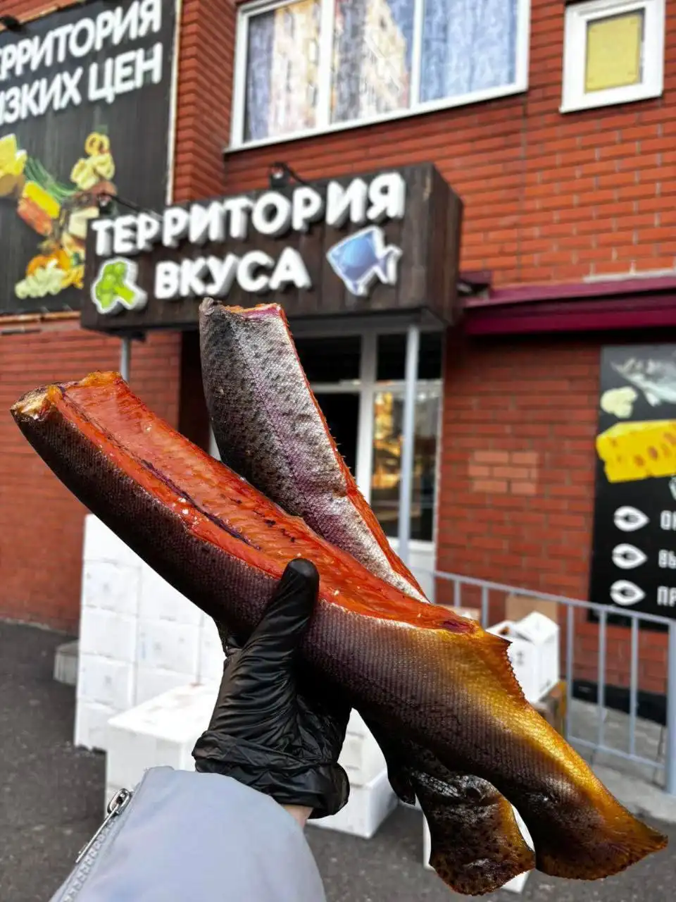 Тунец и балык форели холодного копчения