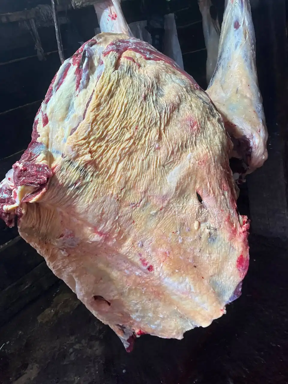 Продажа говядины, ребра с краями