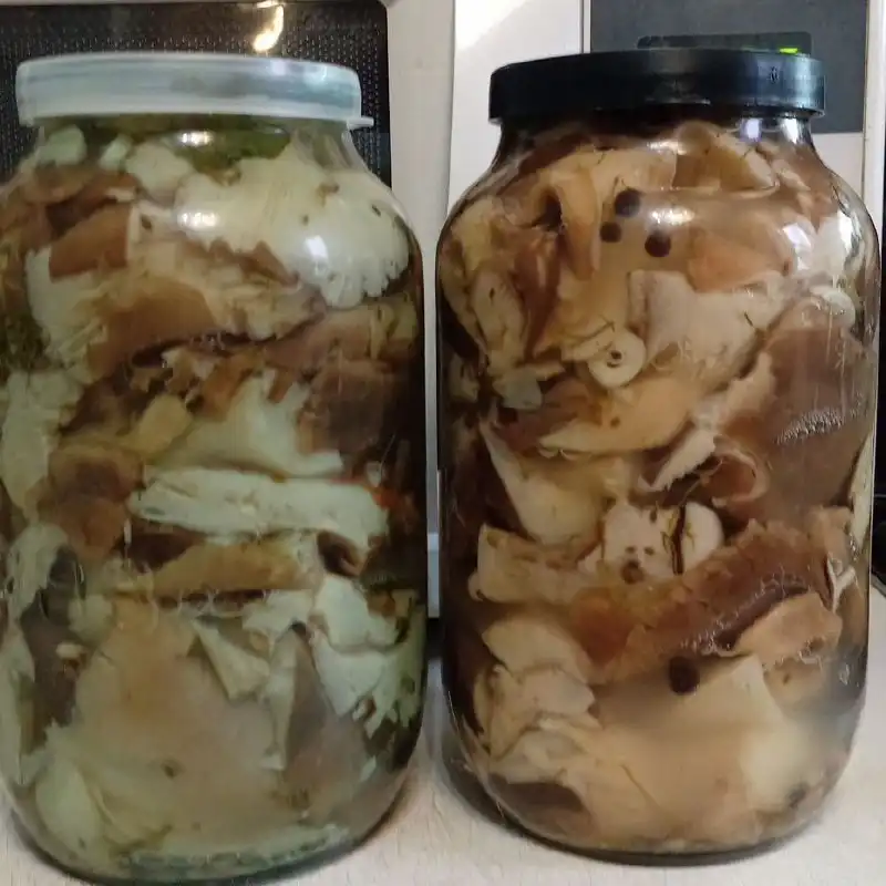 Продажа соленых грибов вишенок