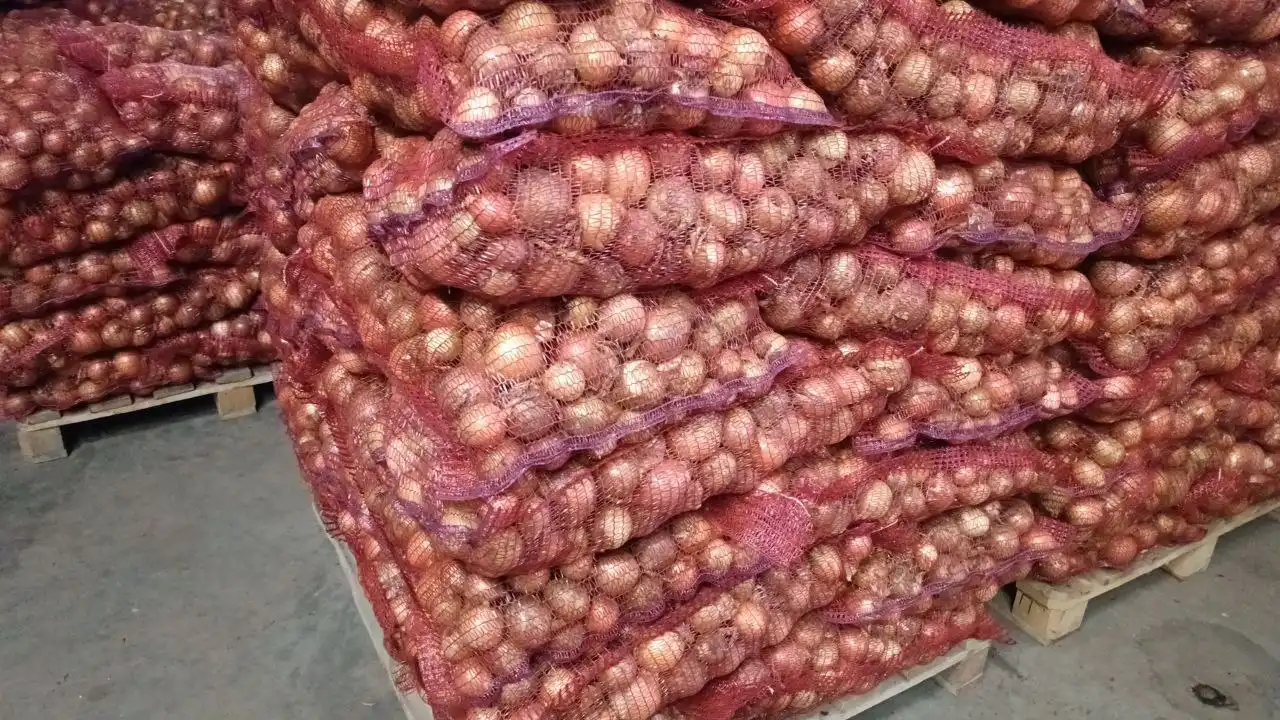 Продажа лука в Оренбурге и селах