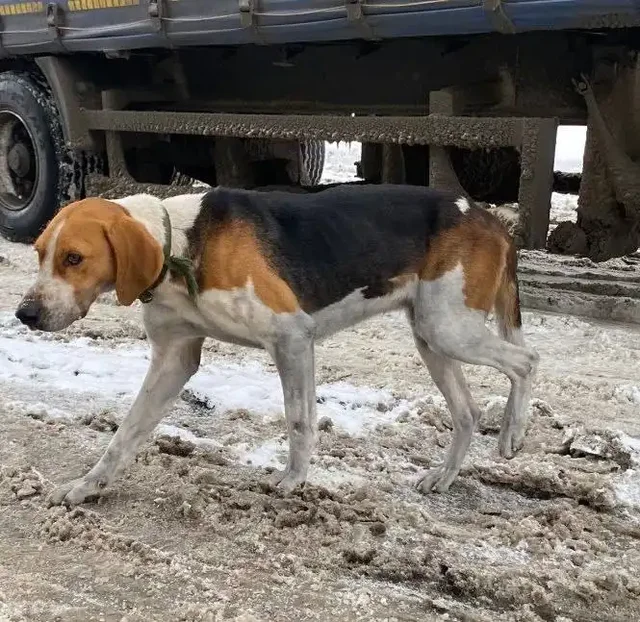 Бесплатные объявления в Оренбурге и сёлах - Барахолка в Оренбург