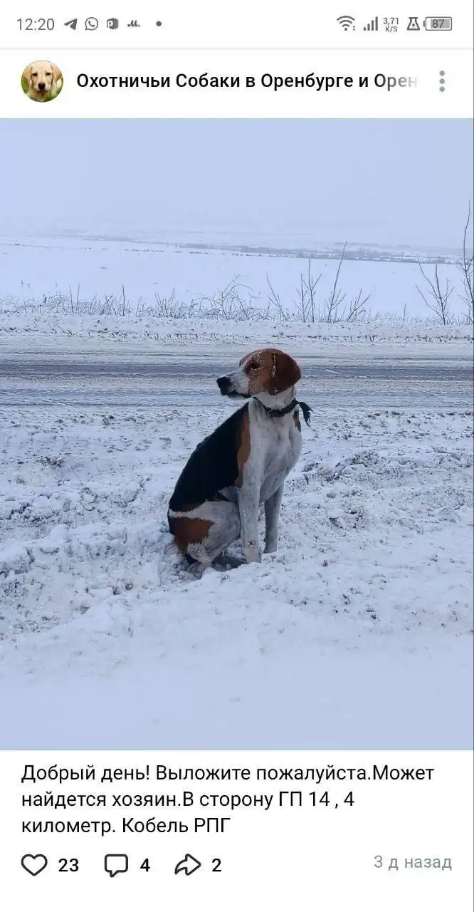 Бесплатные объявления в Оренбурге и сёлах