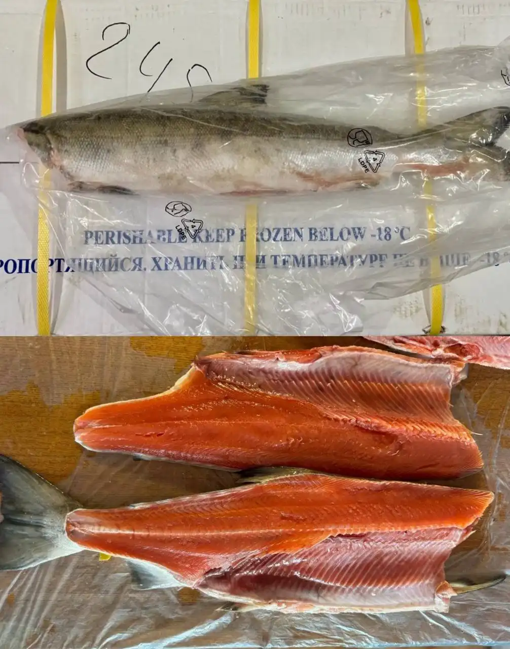 Продажа кеты обезглавленной потрошеной индивидуальной заморозки - Рыба и морепродукты (Барахолка) в Оренбург