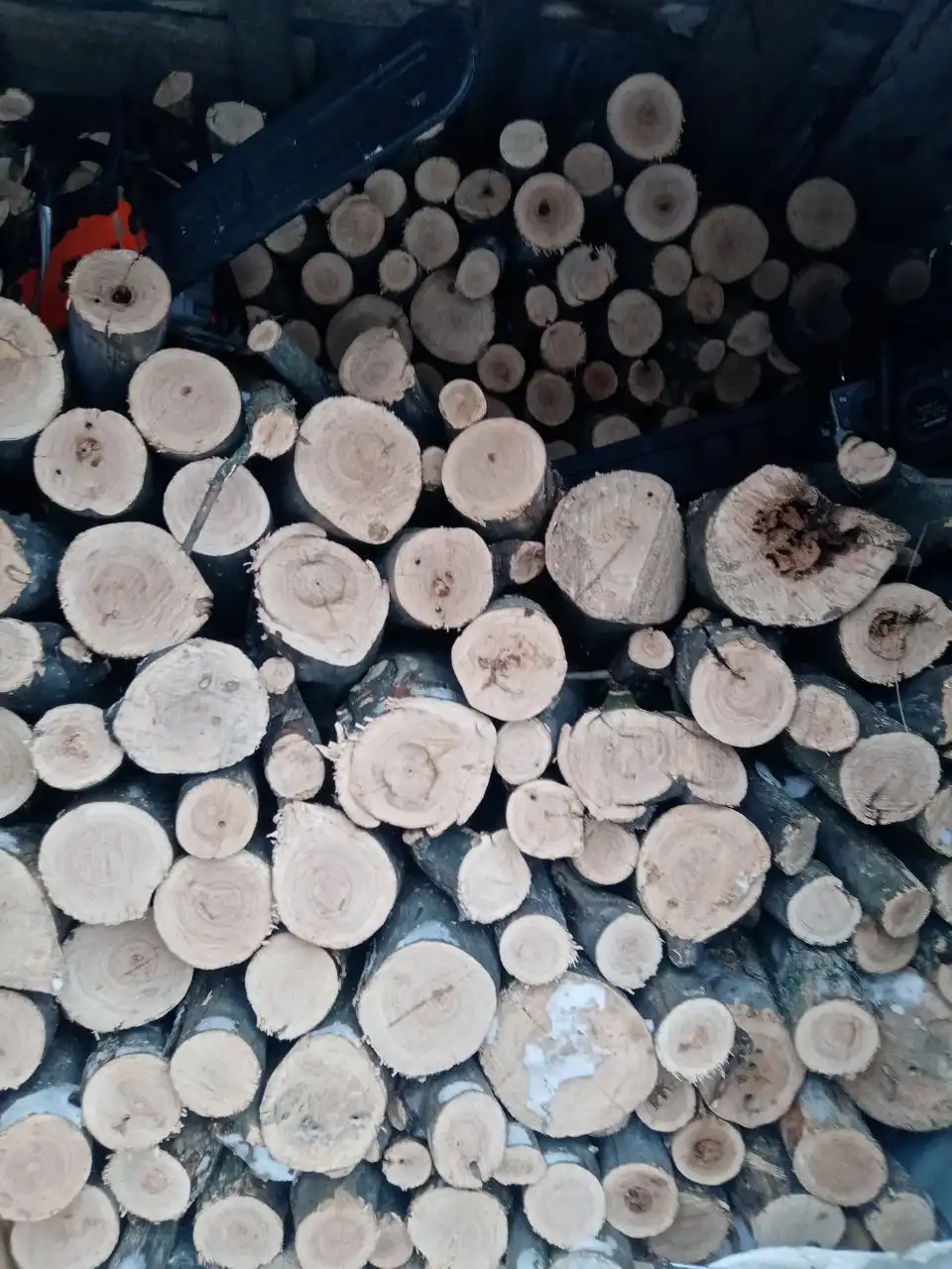 Продажа дров из различных пород дерева - Барахолка в Оренбург