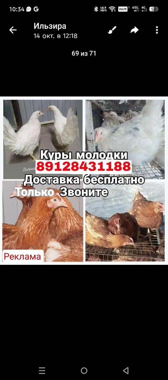 Продам б/у автомобиль Toyota Camry 2008 года в Оренбурге - Легковые автомобили (Авто) в Оренбург