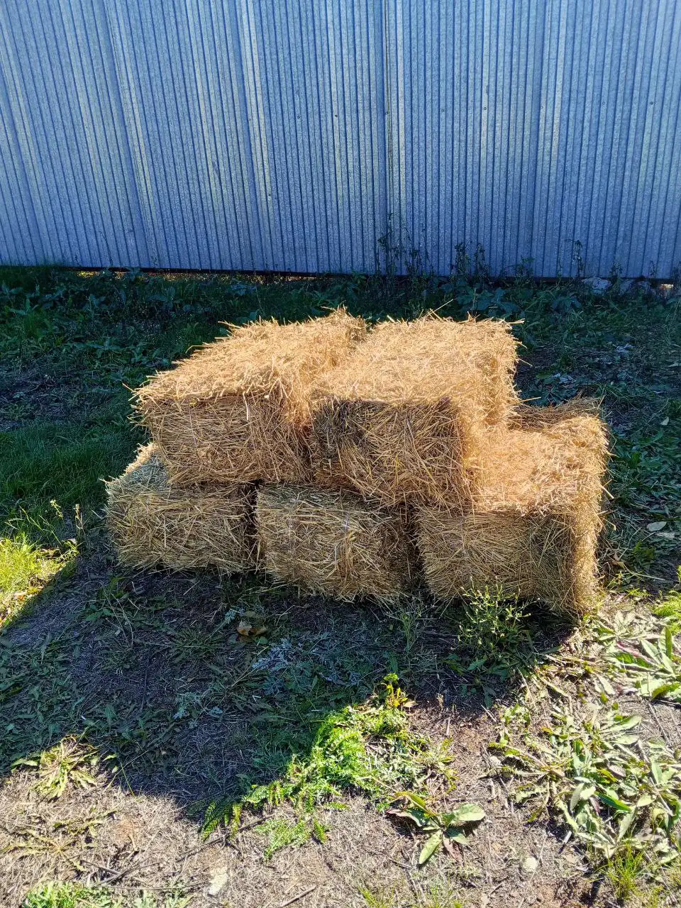 Продажа соломы в тюках - Сельхозпродукция (Барахолка) в Оренбург