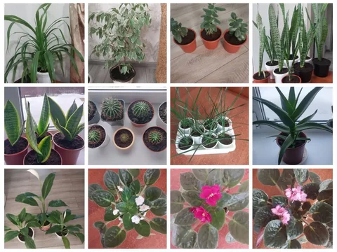 Продам по объявлению в Оренбурге - Подарки в Оренбург