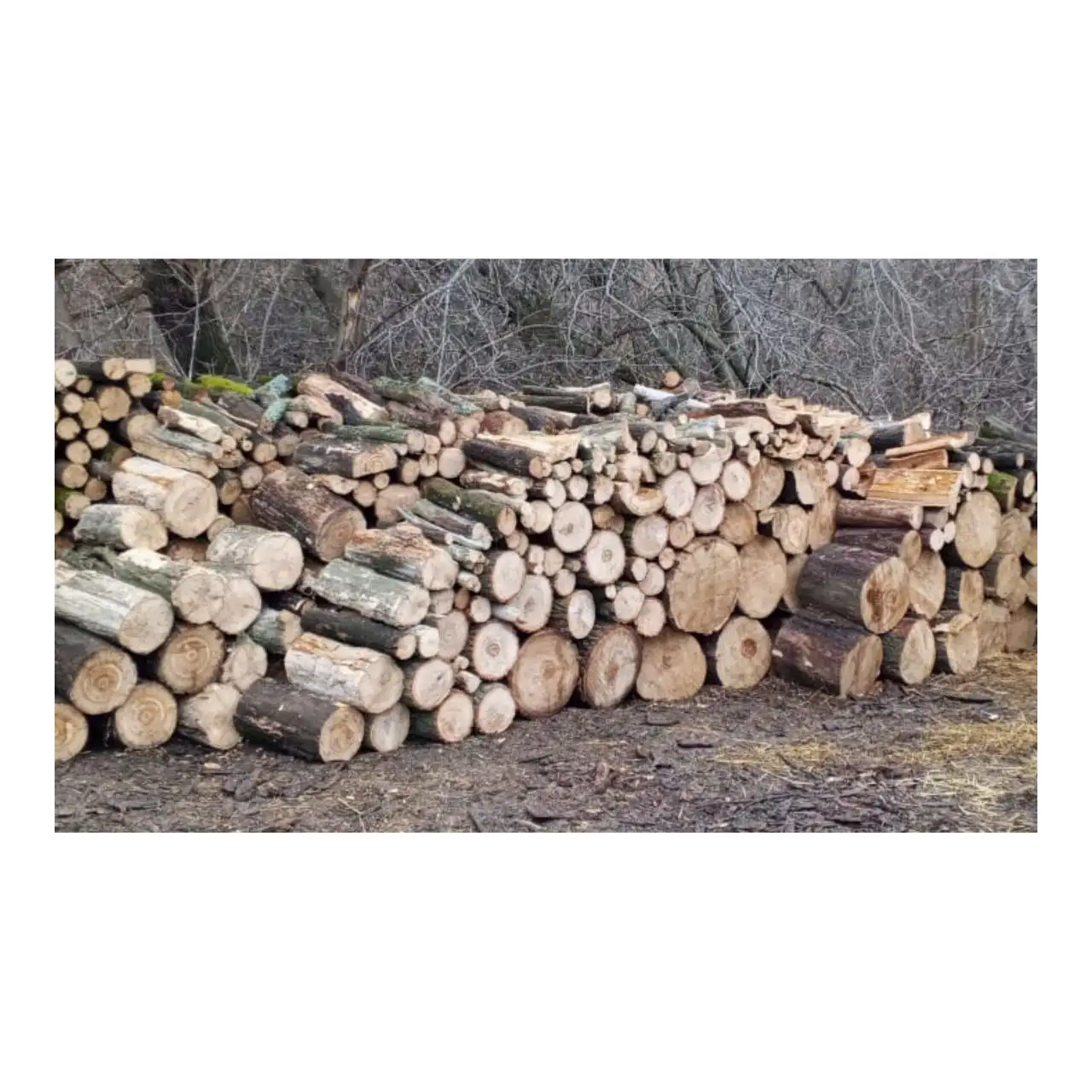 Продажа дров из дуба - Топливо (Барахолка) в Оренбург