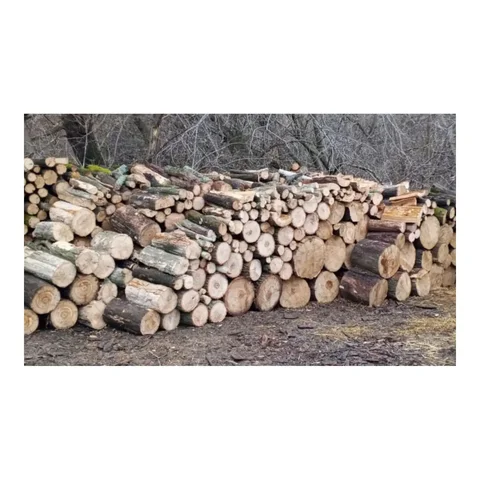 Продажа дров из дуба - Прием металлолома в Оренбург