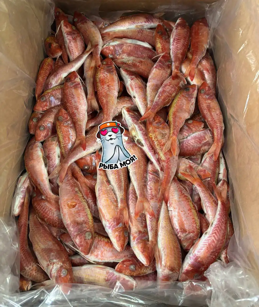 Свежемороженая барабулька индивидуальной заморозки - Продукты питания (Барахолка) в Оренбург