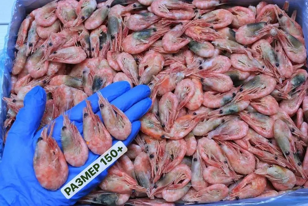 Северная креветка 150+ варено-мороженая - Продукты питания (Барахолка) в Оренбург