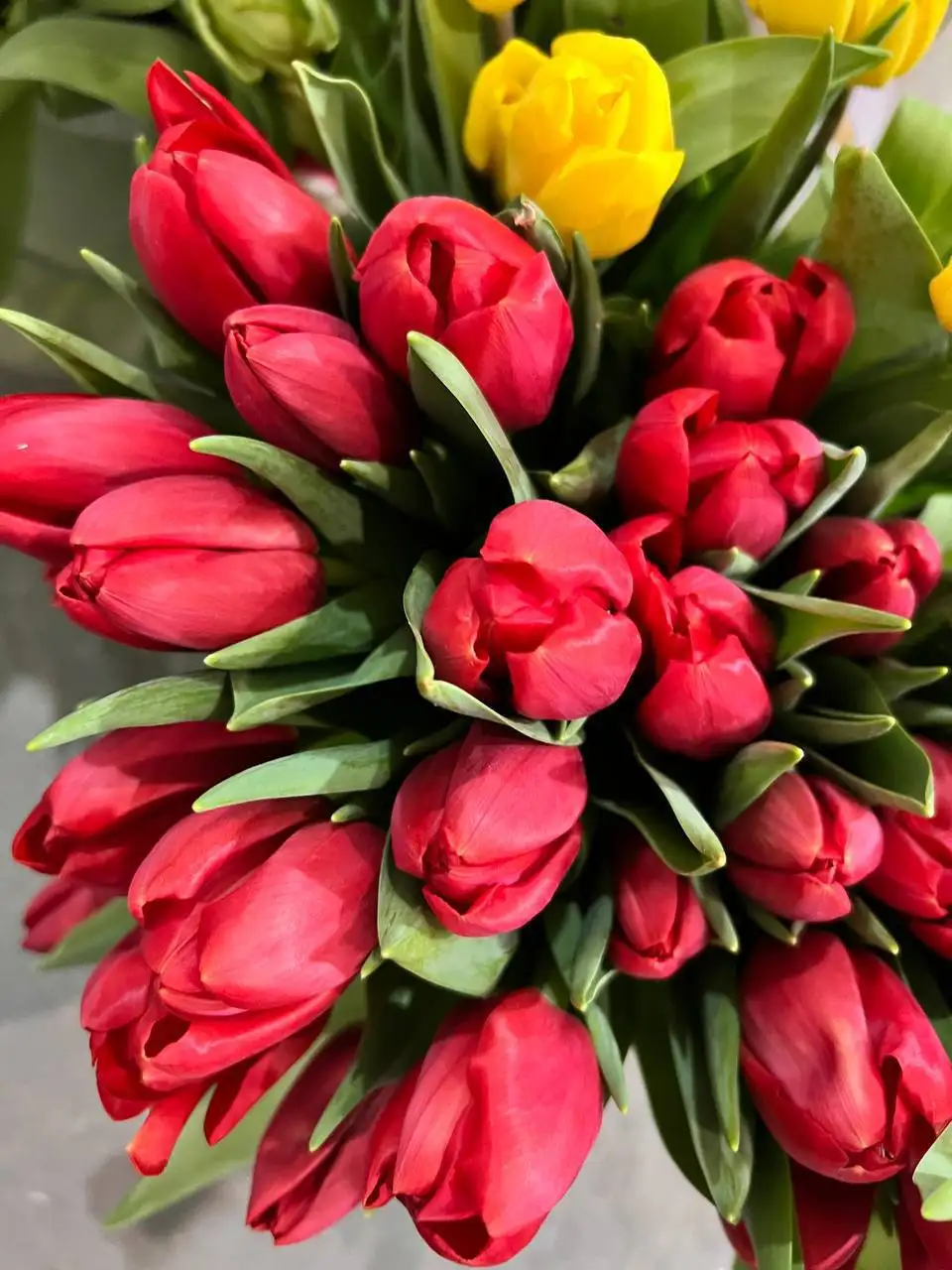 Тюльпаны к 8 Марта с доставкой - Цветы (Хобби и отдых) в Оренбург