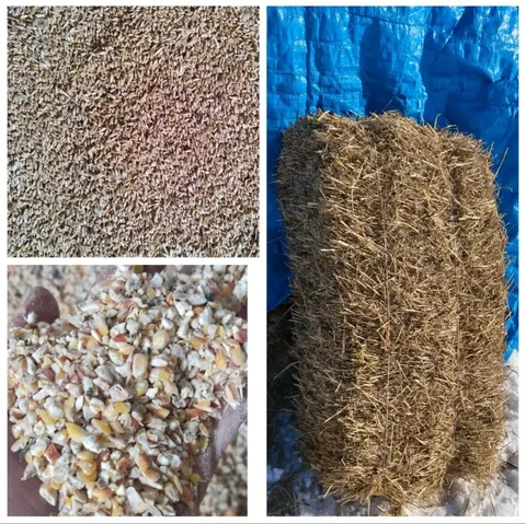 Продажа пшеницы, кукурузы и соломы в мешках и тюках - Квадроциклы в Оренбург