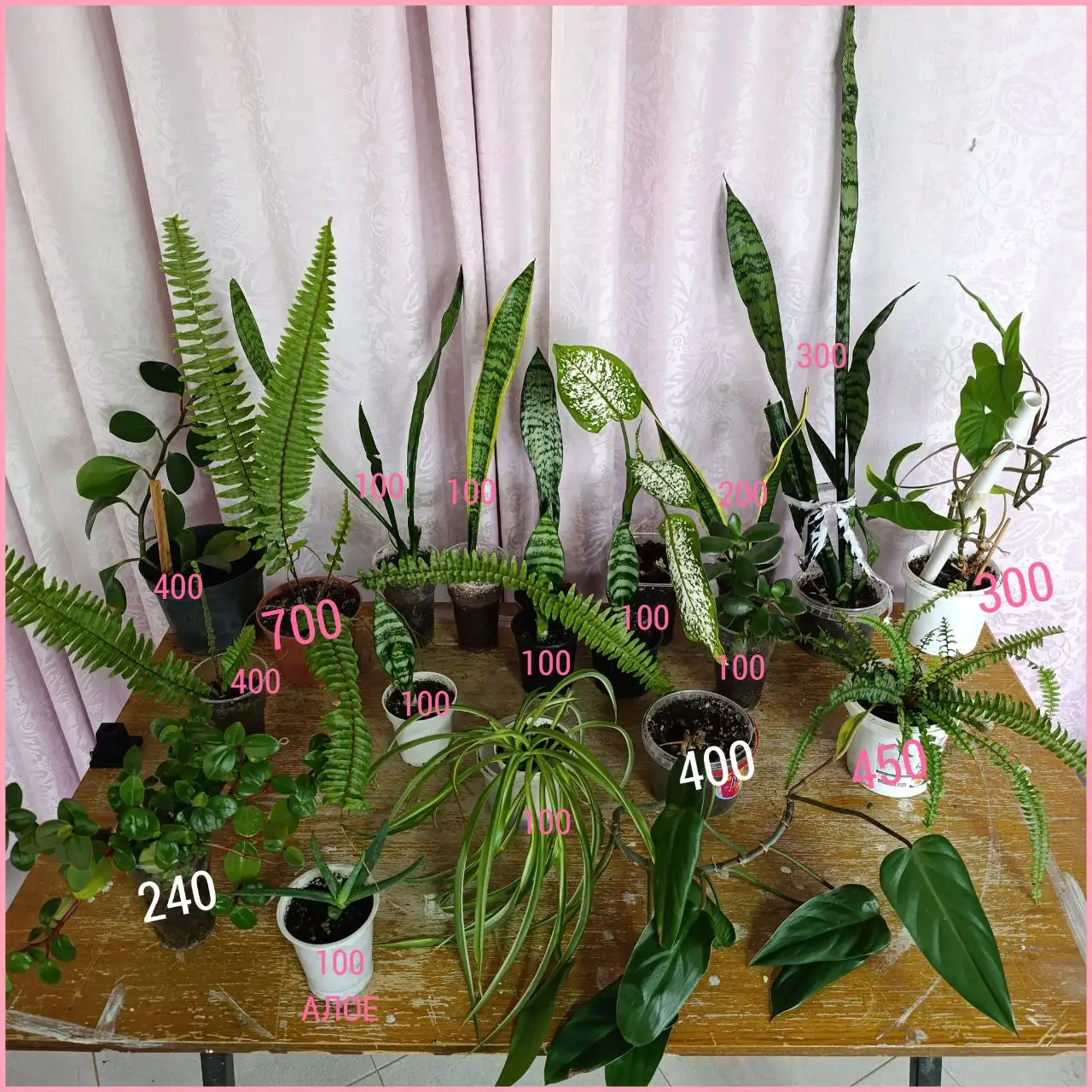 Продажа детской одежды в Оренбурге - Одежда (Товары для детей) в Оренбург