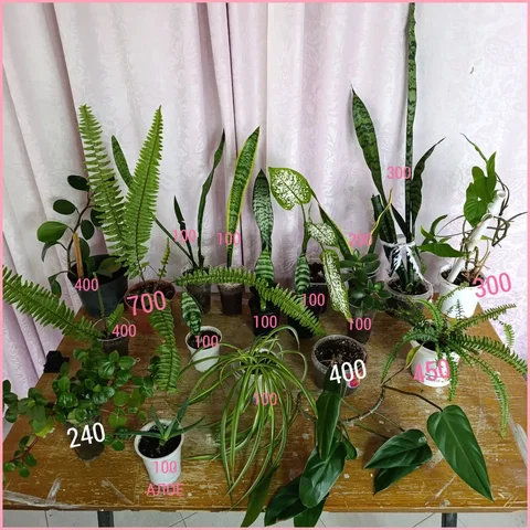 Продажа детской одежды в Оренбурге - частное объявление в Оренбург