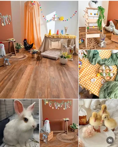 Фотодень с цыплятами и утятами - Доставка товаров в Оренбург