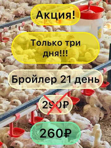 Бесплатные объявления в Оренбурге и сёлах - Гигиена и косметика в Оренбург