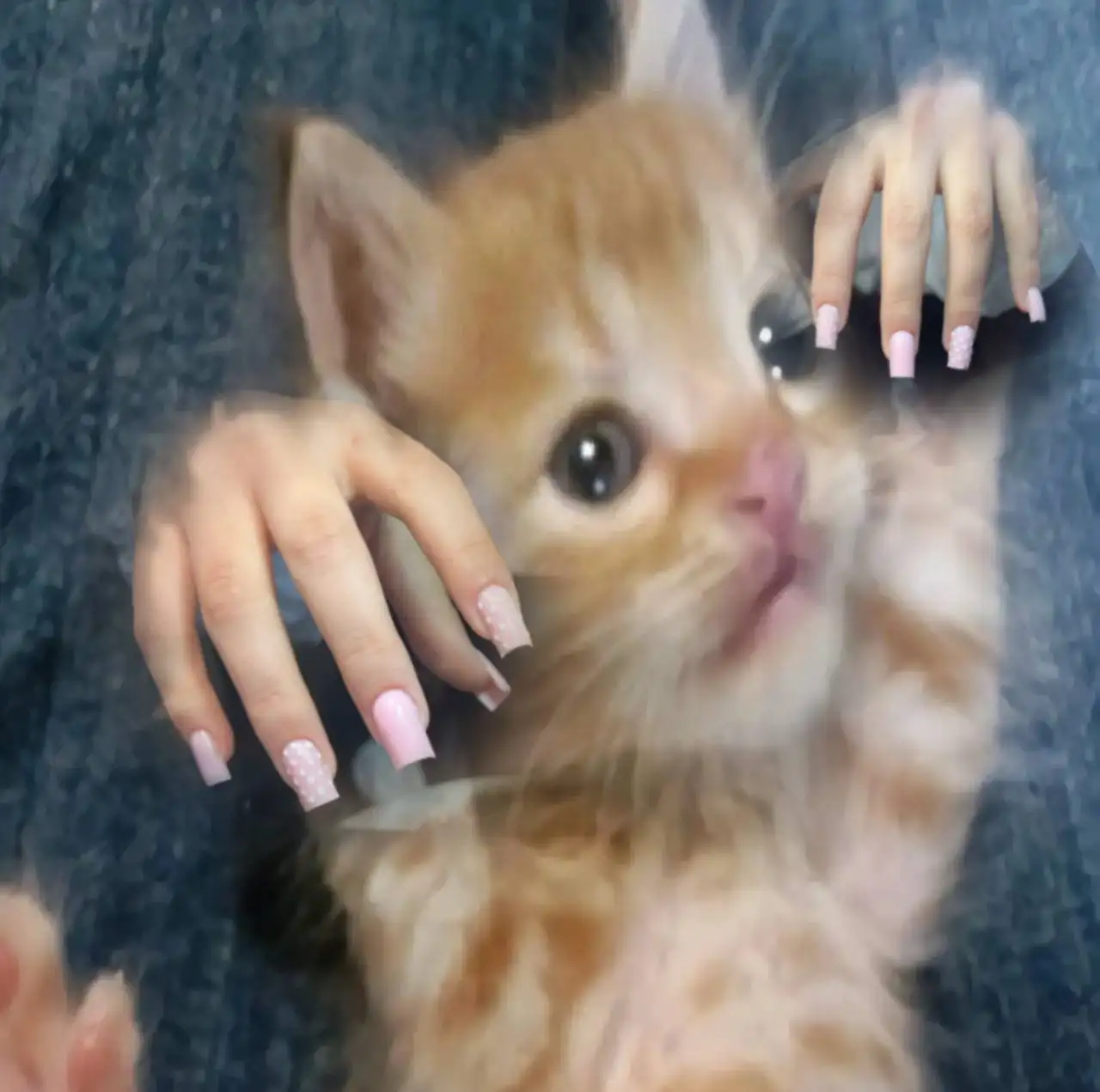 Услуги мастера по маникюру - Красота (Услуги) в Оренбург