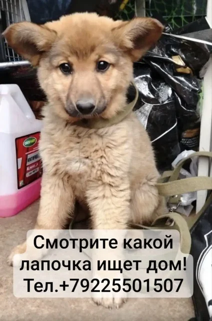 Спасен с обрыва реки - Спортивные товары в Оренбург