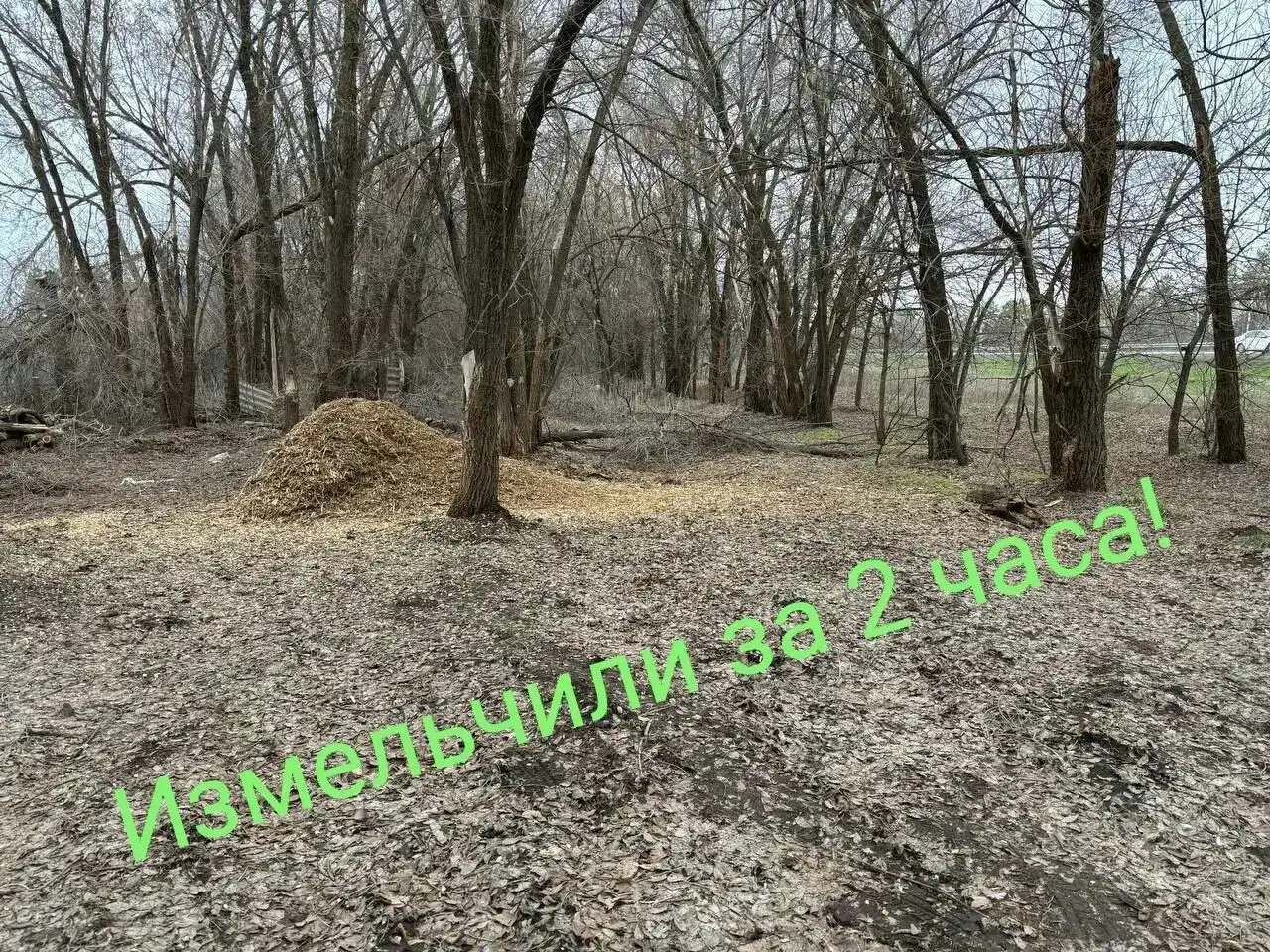 Аренда измельчителя веток - Аренда оборудования (Услуги) в Оренбург