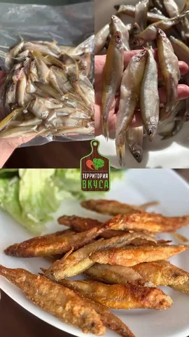 Сбор на корюшку молоротую - Техника для кухни и климатическая техника в Оренбург