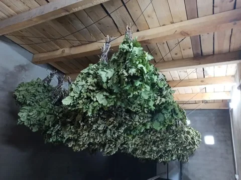 Веники дубовые - Кухонная утварь в Заречный