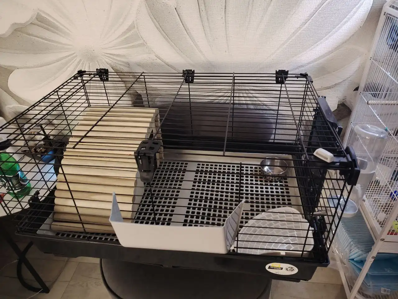 Большая клетка для грызунов с комплектом - Товары для животных (Животные) в Заречный