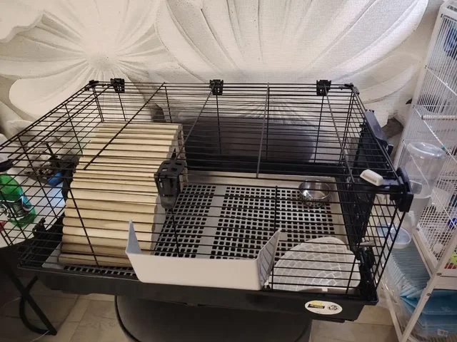 Большая клетка для грызунов с комплектом - Животные в Заречный