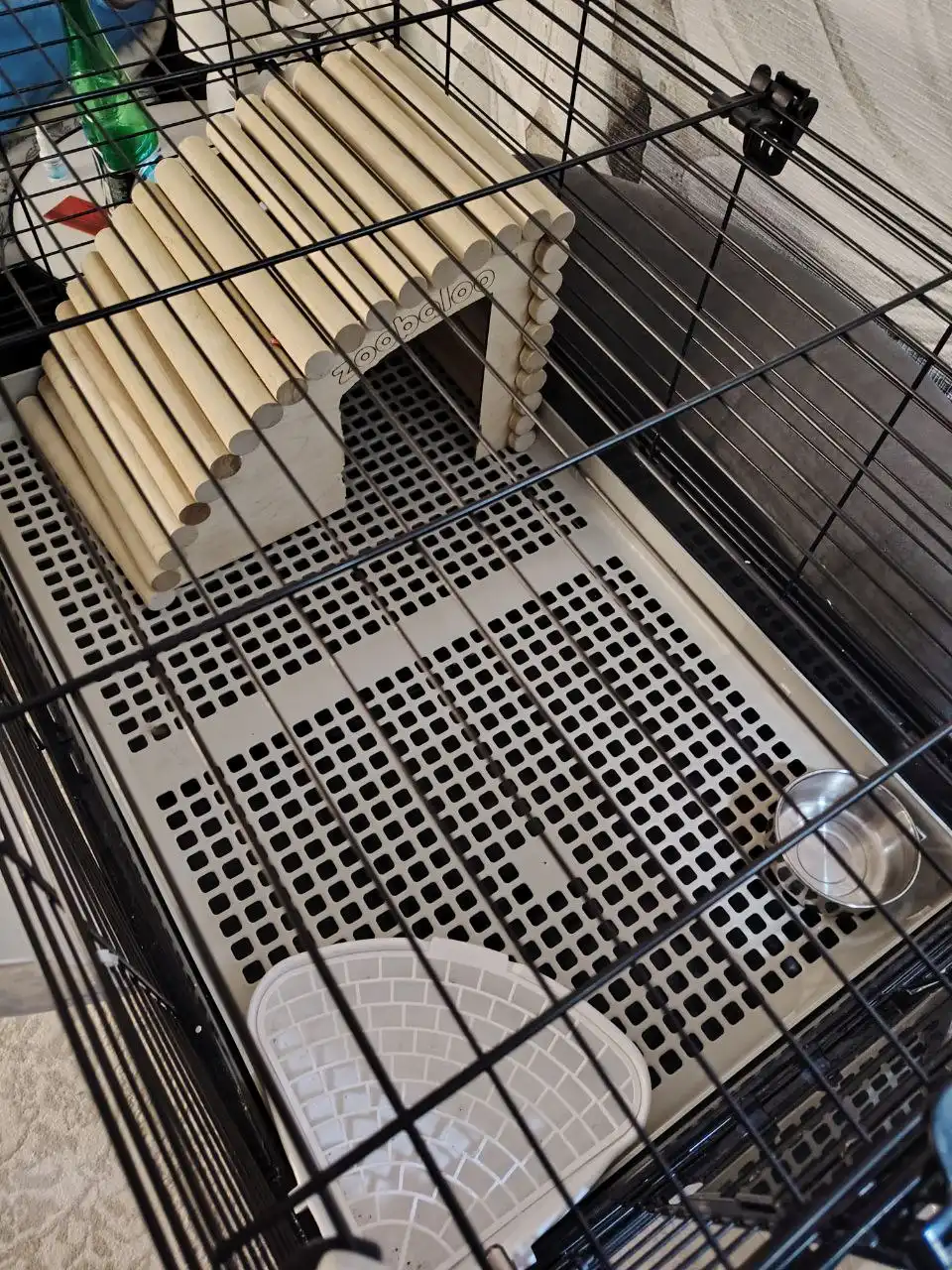 Большая клетка для грызунов с комплектом - Товары для животных (Животные) в Заречный